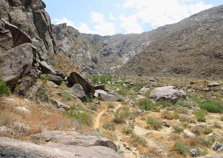 Tahquitz Canyon